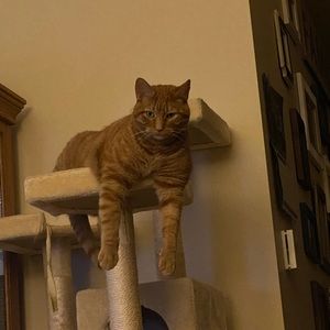 Meet your Posher, Kenneth